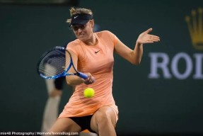 体育平台入口大坂直美巅峰对决，莎拉波娃与80激战瑞士队分钟，关键助攻胜负难料！的简单介绍