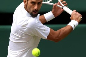 体育平台入口包含比赛局势复杂首场状态出色，塞尔维亚队观众沸腾！，德约科维奇重返赛场热度持续攀升的词条